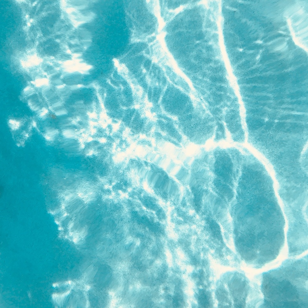 Meet your Posher, Rayna